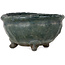 Round green bonsai pot by Yamaaki Shosen/Akitsugu/Juudo (first generation) - 85 x 85 x 45 mm