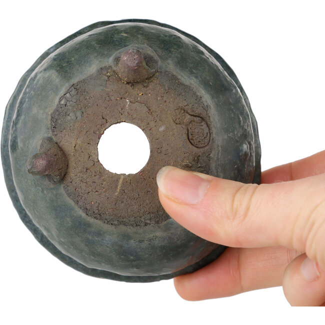 Pot à bonsaï rond vert de Yamaaki Shosen/Akitsugu/Juudo (première génération) - 85 x 85 x 45 mm