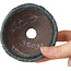 Round green bonsai pot by Yamaaki Shosen/Akitsugu/Juudo (first generation) - 85 x 85 x 45 mm