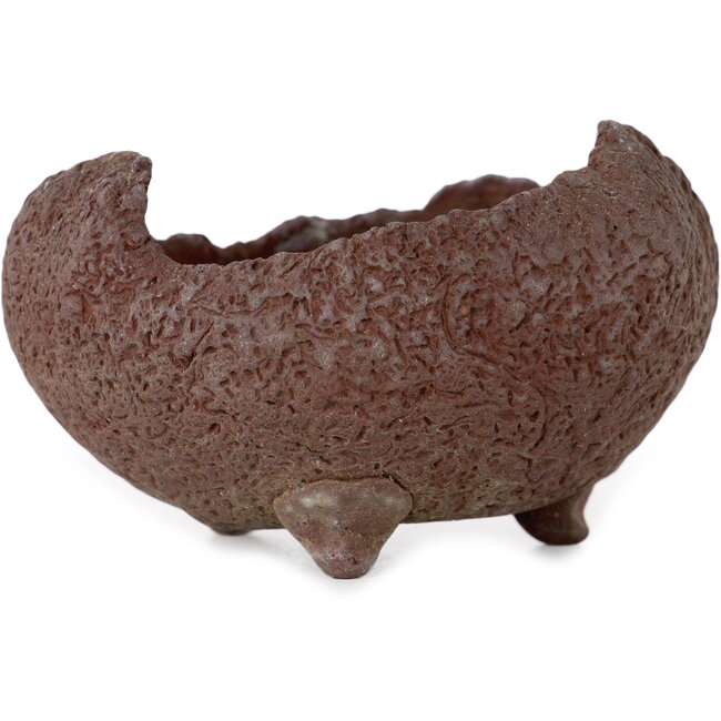 Round unglazed bonsai pot by Yamaaki Shosen/Akitsugu/Juudo (first generation) - 78 x 78 x 50 mm