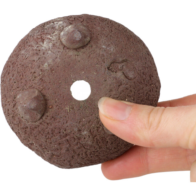 Pot à bonsaï rond non émaillé de Yamaaki Shosen/Akitsugu/Juudo (première génération) - 78 x 78 x 50 mm