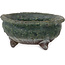 Pot à bonsaï rond vert de Yamaaki Shosen/Akitsugu/Juudo (première génération) - 77 x 77 x 40 mm