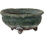 Pot à bonsaï rond vert de Yamaaki Shosen/Akitsugu/Juudo (première génération) - 77 x 77 x 40 mm
