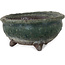 Maceta redonda para bonsái verde de Yamaaki Shosen/Akitsugu/Juudo (primera generación) - 77 x 77 x 40 mm