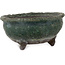 Round green bonsai pot by Yamaaki Shosen/Akitsugu/Juudo (first generation) - 77 x 77 x 40 mm