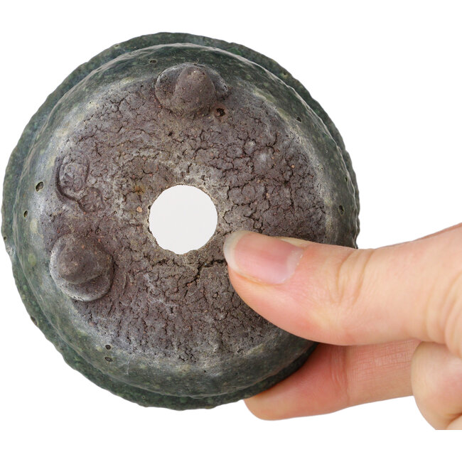 Pot à bonsaï rond vert de Yamaaki Shosen/Akitsugu/Juudo (première génération) - 77 x 77 x 40 mm