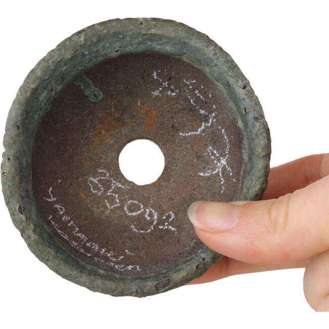 Maceta redonda para bonsái verde de Yamaaki Shosen/Akitsugu/Juudo (primera generación) - 77 x 77 x 40 mm