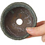 Pot à bonsaï rond vert de Yamaaki Shosen/Akitsugu/Juudo (première génération) - 77 x 77 x 40 mm