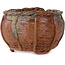 Vaso per bonsai a forma di cestino non smaltato di Kotobuki (Bonsa) - 62 x 62 x 40 mm