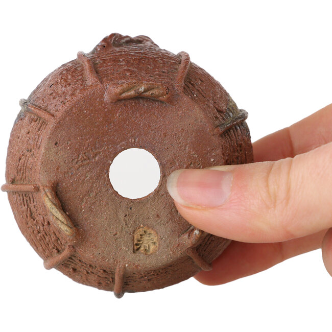Maceta de bonsái sin esmaltar de Kotobuki (Bonsa) - 62 x 62 x 40 mm