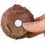 Maceta de bonsái sin esmaltar de Kotobuki (Bonsa) - 62 x 62 x 40 mm