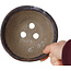 Maceta redonda marrón para bonsái de Bunzan (Seto) - 147 x 147 x 65 mm