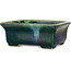 Pot à bonsaï rectangulaire vert par Terahata Satomi Mazan - 165 x 135 x 65 mm
