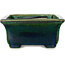 Pot à bonsaï rectangulaire vert par Terahata Satomi Mazan - 165 x 135 x 65 mm
