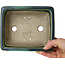 Maceta rectangular para bonsái verde de Terahata Satomi Mazan - 165 x 135 x 65 mm