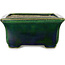Rectangular green bonsai pot by Terahata Satomi Mazan - 165 x 135 x 65 mm