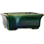 Vaso bonsai rettangolare verde di Terahata Satomi Mazan - 165 x 135 x 65 mm