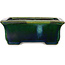 Maceta rectangular para bonsái verde de Terahata Satomi Mazan - 165 x 135 x 65 mm