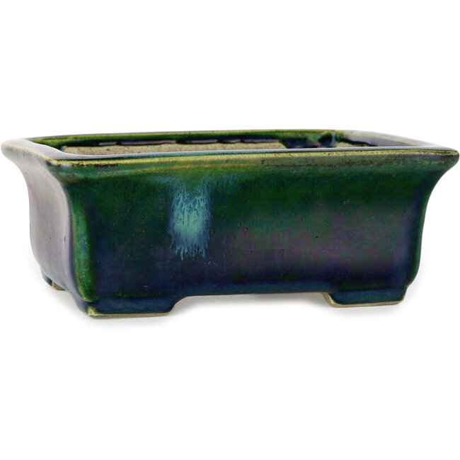 Vaso bonsai rettangolare verde di Terahata Satomi Mazan - 165 x 135 x 65 mm