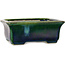 Maceta rectangular para bonsái verde de Terahata Satomi Mazan - 165 x 135 x 65 mm