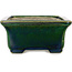 Rechthoekige groene bonsaipot van Terahata Satomi Mazan - 165 x 135 x 65 mm