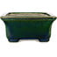 Rectangular green bonsai pot by Terahata Satomi Mazan - 165 x 135 x 65 mm