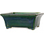 Rechthoekige groene bonsaipot van Terahata Satomi Mazan - 182 x 165 x 75 mm
