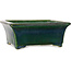 Rectangular green bonsai pot by Terahata Satomi Mazan - 182 x 165 x 75 mm