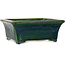 Maceta rectangular para bonsái verde de Terahata Satomi Mazan - 182 x 165 x 75 mm