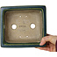 Maceta rectangular para bonsái verde de Terahata Satomi Mazan - 182 x 165 x 75 mm