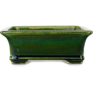  Satomi Mazan, Mazan Terahata Maceta rectangular para bonsái craquelé verde de 215 mm de Terahata Satomi Mazan, Tokoname, Japón