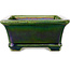 Pot à bonsaï rectangulaire vert craquelé par Terahata Satomi Mazan - 215 x 180 x 83 mm