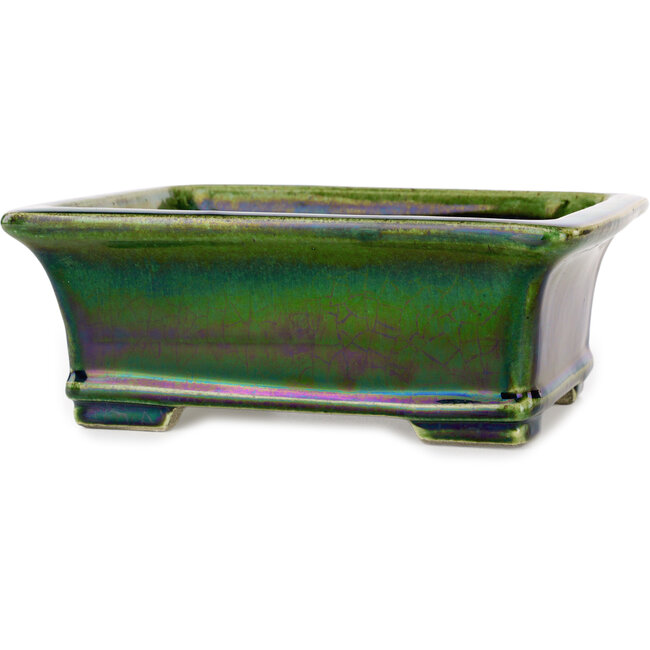 Maceta rectangular para bonsái craquelé verde de Terahata Satomi Mazan - 215 x 180 x 83 mm