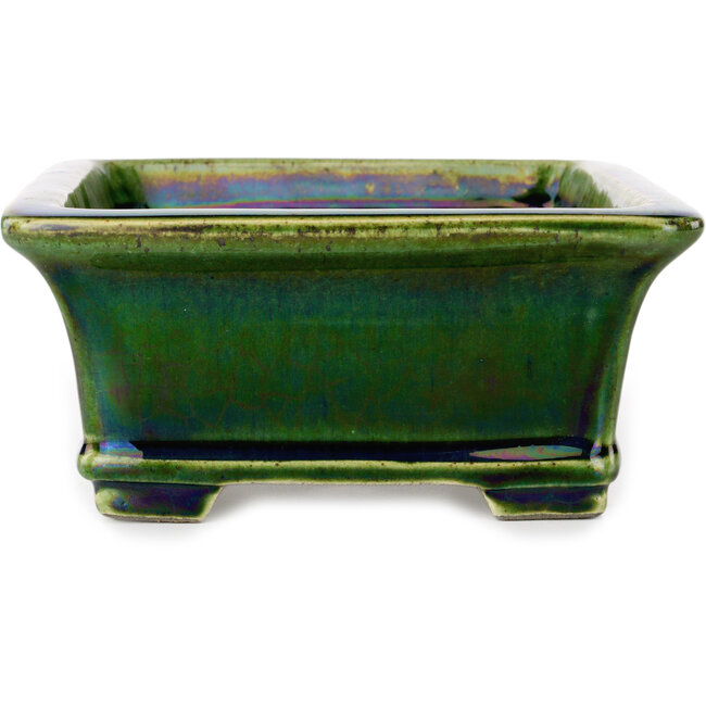 Vaso bonsai rettangolare verde craquelé di Terahata Satomi Mazan - 215 x 180 x 83 mm