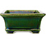 Vaso bonsai rettangolare verde craquelé di Terahata Satomi Mazan - 215 x 180 x 83 mm