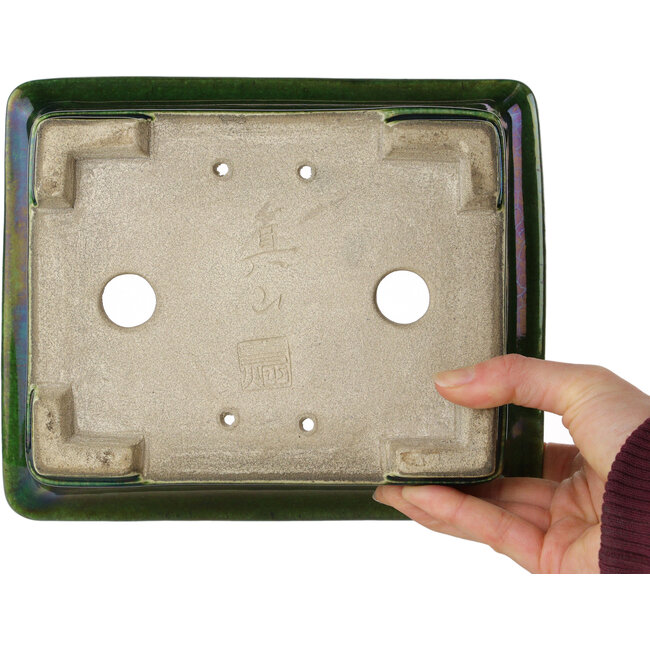 Rectangular green craquelé bonsai pot by Terahata Satomi Mazan - 215 x 180 x 83 mm