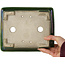 Maceta rectangular para bonsái craquelé verde de Terahata Satomi Mazan - 215 x 180 x 83 mm