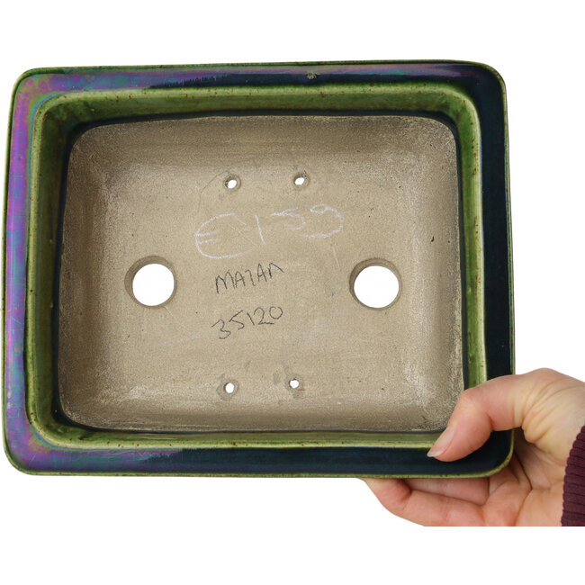 Maceta rectangular para bonsái craquelé verde de Terahata Satomi Mazan - 215 x 180 x 83 mm