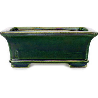  Satomi Mazan, Mazan Terahata Maceta rectangular para bonsái craquelé verde de 215 mm de Terahata Satomi Mazan, Tokoname, Japón