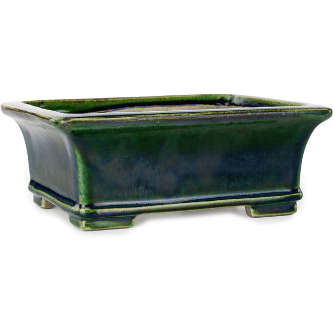 Maceta rectangular para bonsái craquelé verde de Terahata Satomi Mazan - 215 x 180 x 83 mm