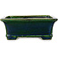 Rechthoekige groene bonsaipot van Terahata Satomi Mazan - 215 x 180 x 83 mm