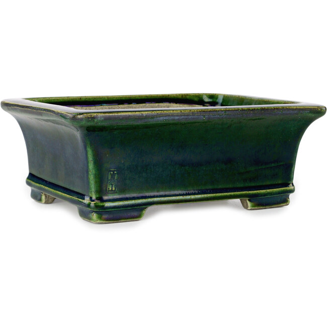 Rechthoekige groene craquelé bonsaipot van Terahata Satomi Mazan - 215 x 180 x 83 mm