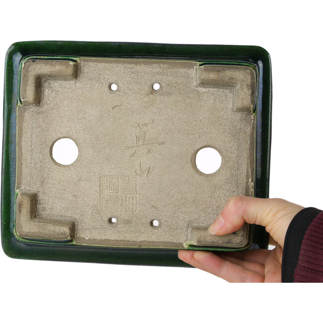 Rechthoekige groene craquelé bonsaipot van Terahata Satomi Mazan - 215 x 180 x 83 mm