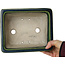 Maceta rectangular para bonsái craquelé verde de Terahata Satomi Mazan - 215 x 180 x 83 mm