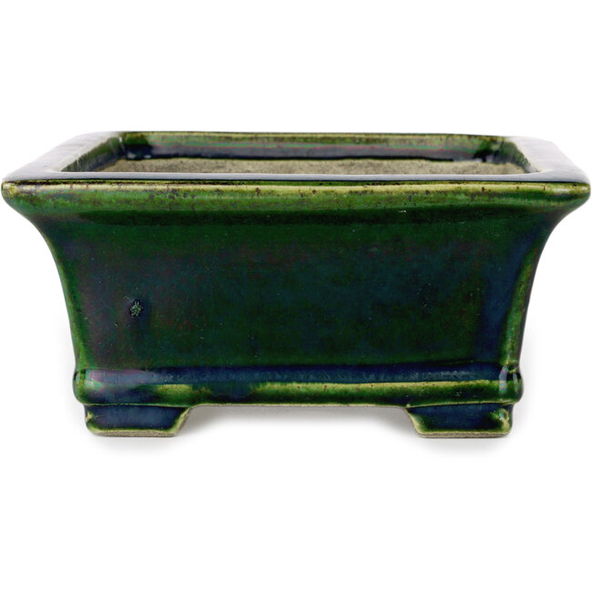 Maceta rectangular para bonsái verde de Terahata Satomi Mazan - 215 x 180 x 83 mm