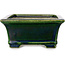 Maceta rectangular para bonsái verde de Terahata Satomi Mazan - 215 x 180 x 83 mm