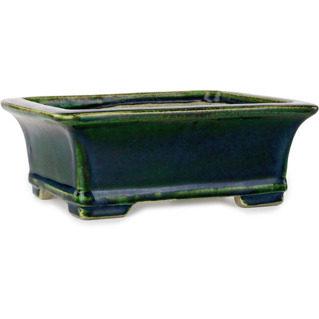 Rectangular green bonsai pot by Terahata Satomi Mazan - 215 x 180 x 83 mm