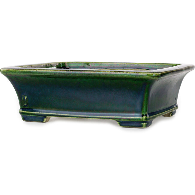 Pot à bonsaï rectangulaire vert par Terahata Satomi Mazan - 250 x 215 x 82 mm