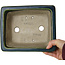 Maceta rectangular para bonsái verde de Terahata Satomi Mazan - 215 x 180 x 83 mm