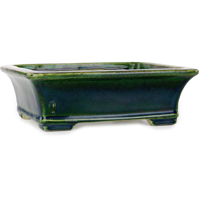 Pot à bonsaï rectangulaire vert par Terahata Satomi Mazan - 250 x 215 x 82 mm